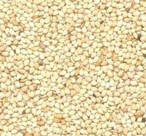 Sesame Seeds -Whitish HUMERA (Selit)